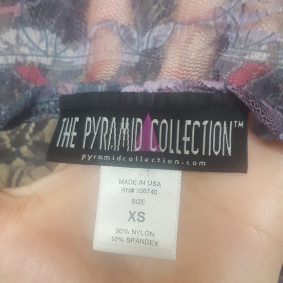 🍂 Primrose Lace Top Pyramid Collection Sheer Blouse - Picture 4 of 9